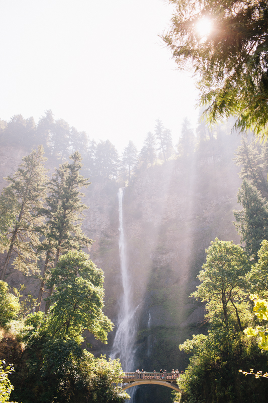 Deb Jason Multnomah Falls Wedding